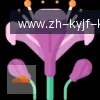 开云app logo