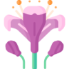 开云app logo