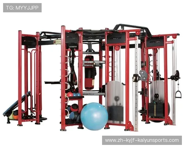 飞鸟健身器械套装满足全周期训练需求 飞鸟健身器械套装满足全周期训练需求